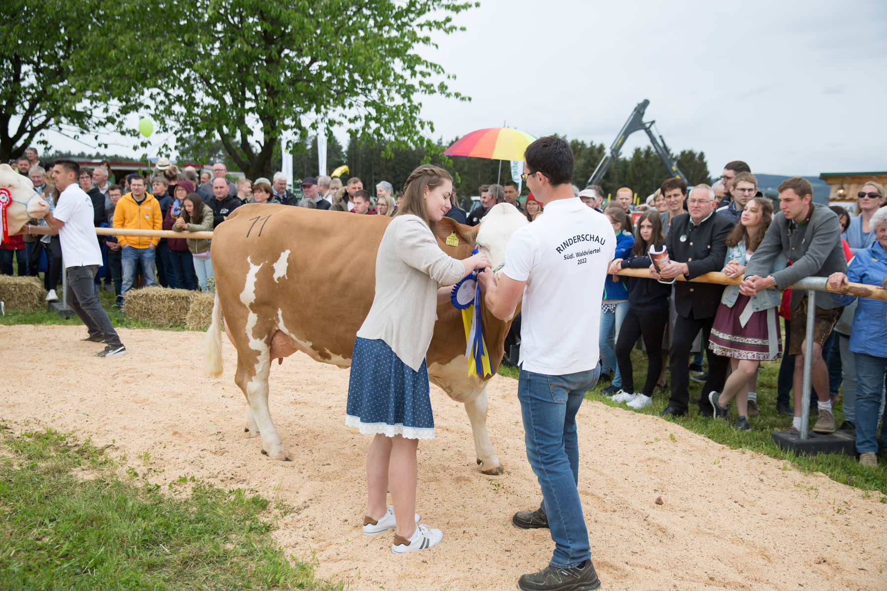 Rinderschau-1720_(c)_BBK_Melk/Derfler.jpg © BBK Melk/Derfler Rinderschau-1720_(c)_BBK_Melk/Derfler.jpg © BBK Melk/Derfler