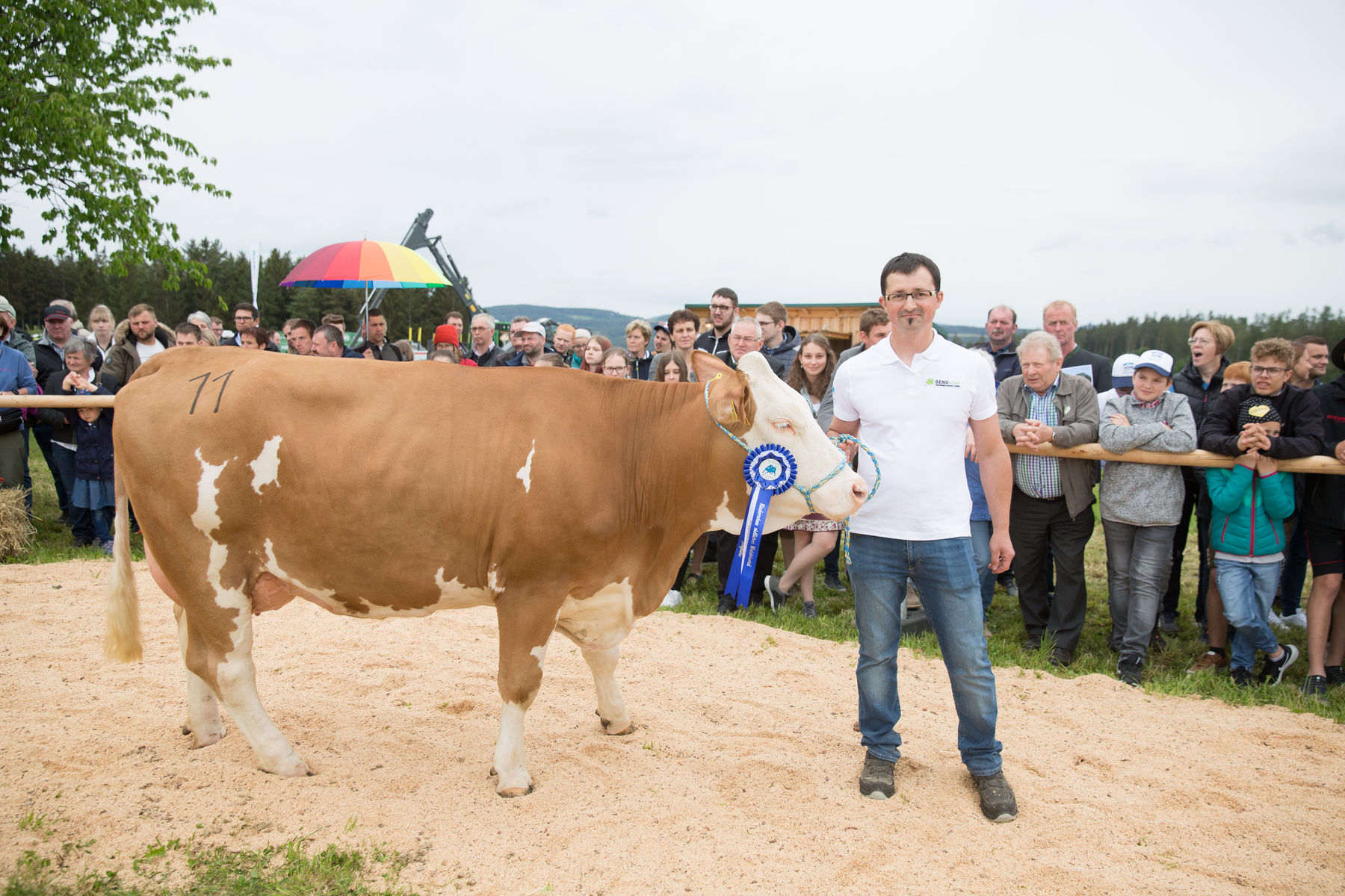 Rinderschau-1727_(c)BBK_Melk/Derfler.jpg © BBK Melk/Derfler Rinderschau-1727_(c)BBK_Melk/Derfler.jpg © BBK Melk/Derfler