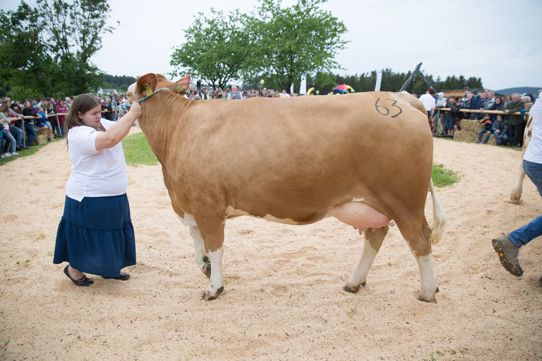 Rinderschau-1761_(c)BBK Melk/Derfler.jpg © BBK Melk/Derfler Rinderschau-1761_(c)BBK Melk/Derfler.jpg © BBK Melk/Derfler