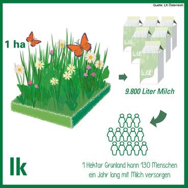 Factsheet grünland