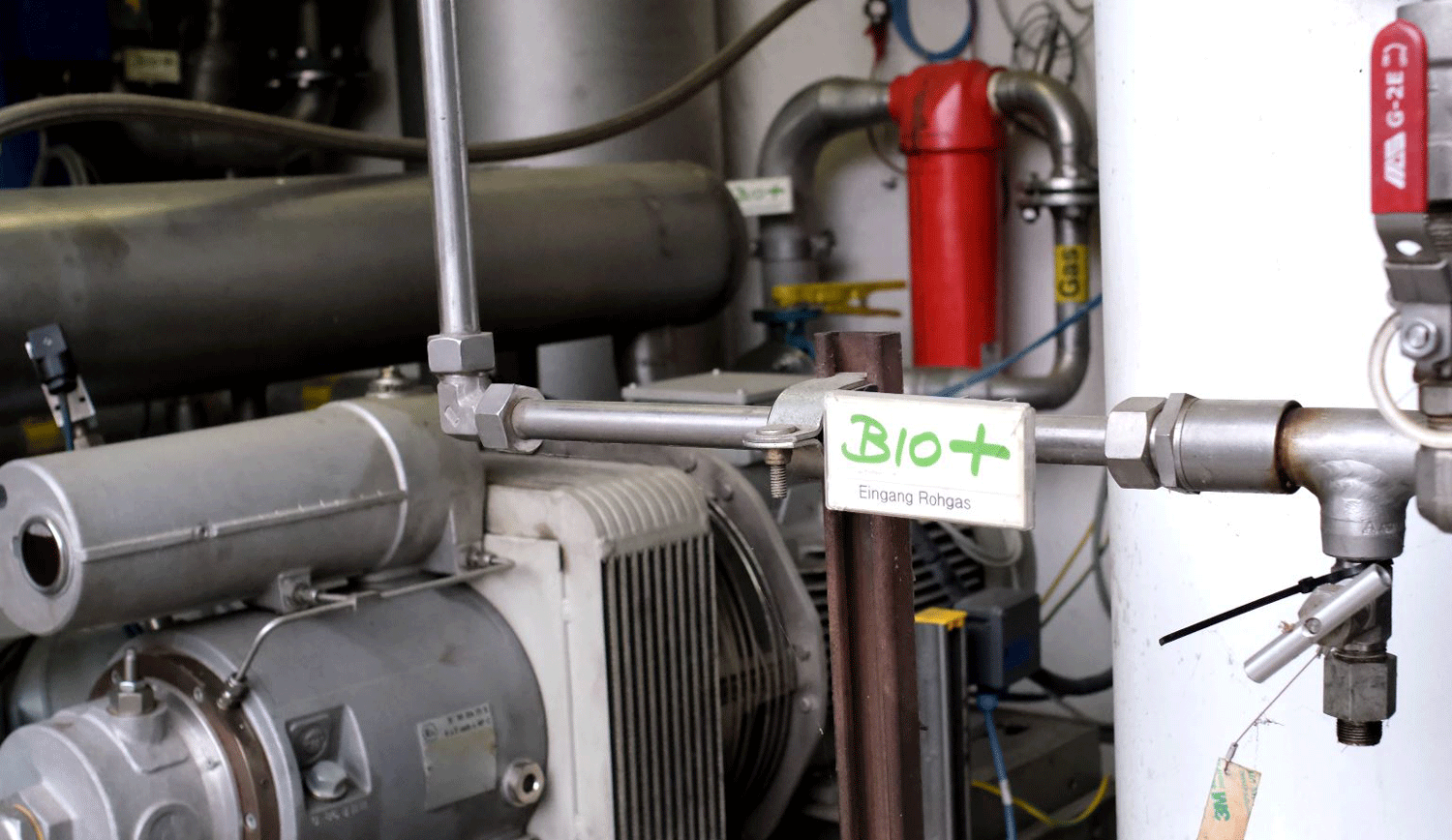 Foto-1.png © Lea Singer Foto-1.png © Lea Singer