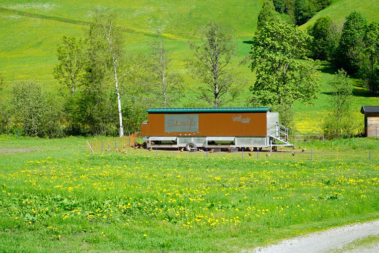 Von der Nebenrolle zur Hauptrolle – Schattergut in Rauris.jpg