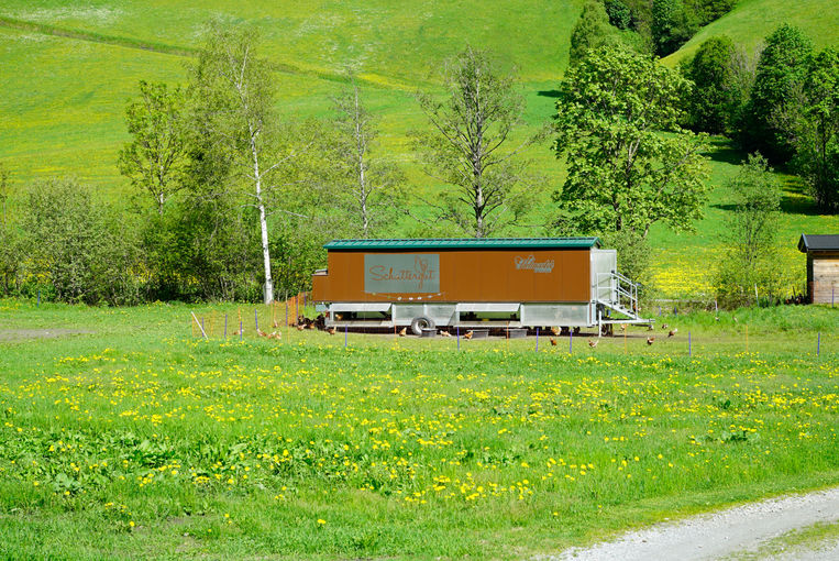 Von der Nebenrolle zur Hauptrolle – Schattergut in Rauris.jpg © Kronreif Von der Nebenrolle zur Hauptrolle – Schattergut in Rauris.jpg © Kronreif