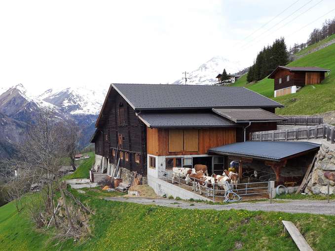 Bergmilchviehbetrieb © EIP Projekt Bergmilch