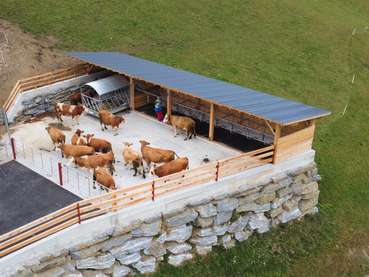 Bergmilchviehbetrieb mit Auslauf © EIP Projekt Bergmilch