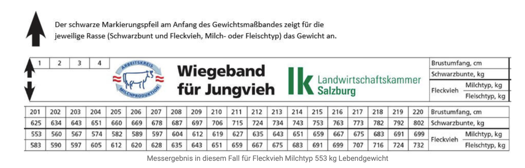 Schätzt du noch oder misst du schon?.png © Archiv Schätzt du noch oder misst du schon?.png © Archiv