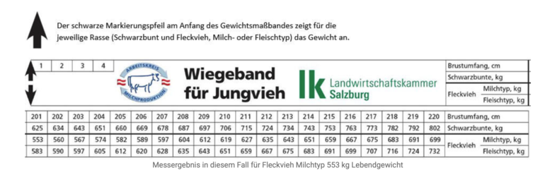 Schätzt du noch oder misst du schon?.png © Archiv Schätzt du noch oder misst du schon?.png © Archiv