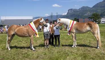 Gesamtsieger und Gesamtjugendsieger (Mittel).jpg © Haflingerzuchtverein Vorarlberg / Bob Schouten / Matthias Rhomberg Gesamtsieger und Gesamtjugendsieger (Mittel).jpg © Haflingerzuchtverein Vorarlberg / Bob Schouten / Matthias Rhomberg