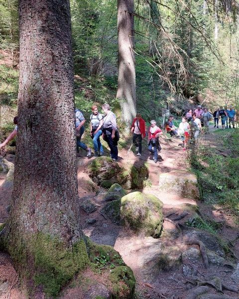 IMG-20220512-WA0025.jpg IMG-20220512-WA0025.jpg