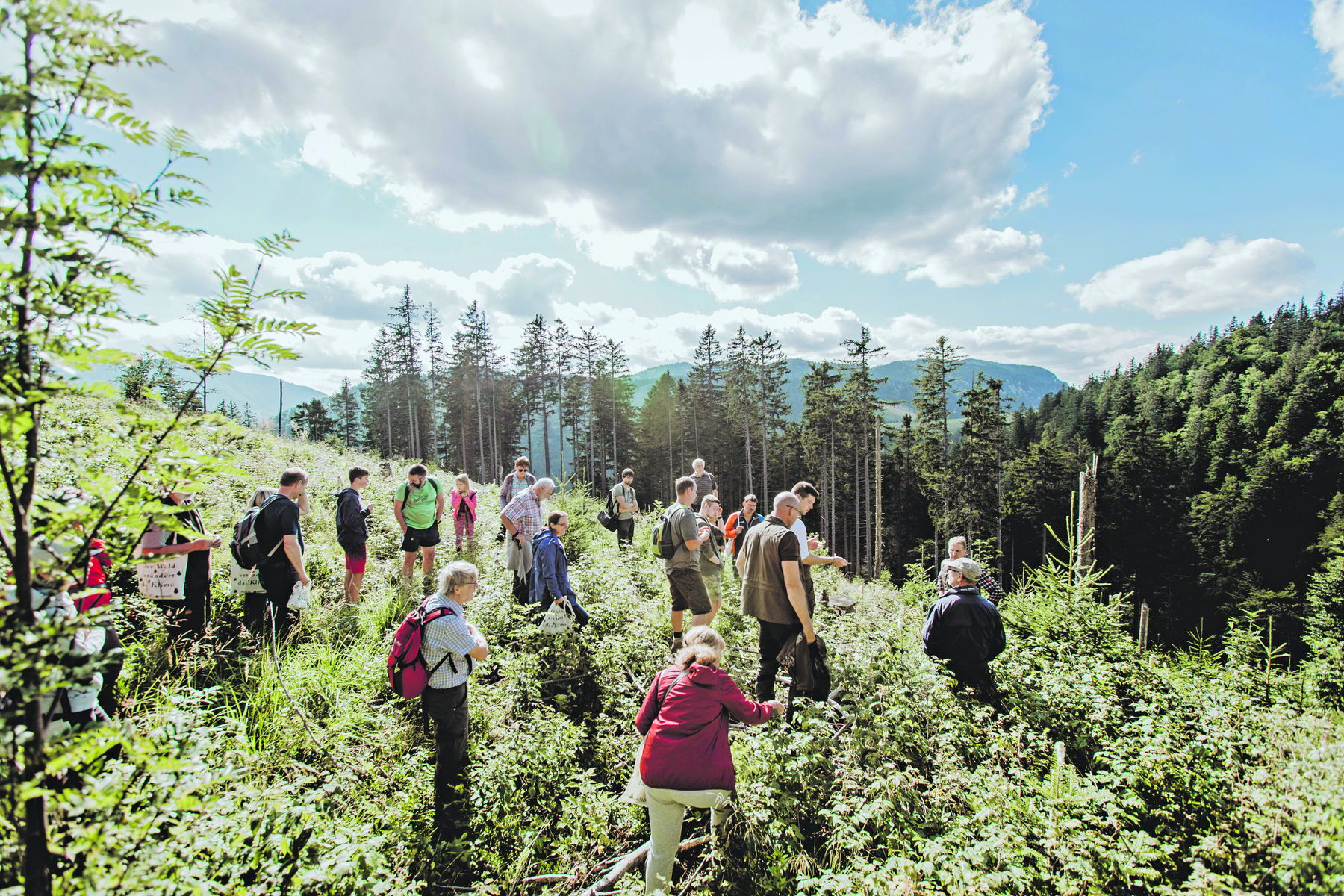 Aktiver Aufenthalt in der Natur fördert die Lebensqualität c ÖBf-Archiv, K. Karner.jpg © ÖBf-Archiv/K. Karner