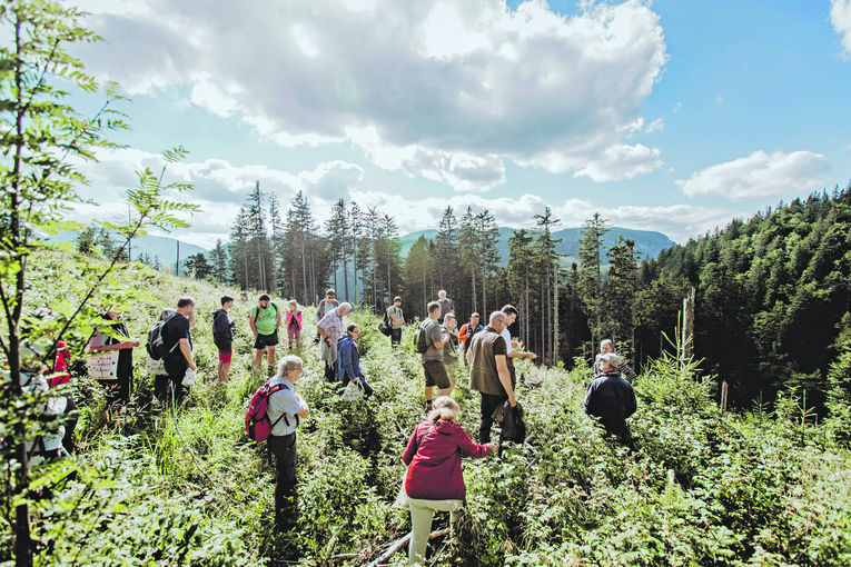 Aktiver Aufenthalt in der Natur fördert die Lebensqualität c ÖBf-Archiv, K. Karner.jpg