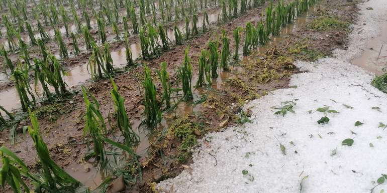 Hagel.jpg © ÖHV Hagel.jpg © ÖHV