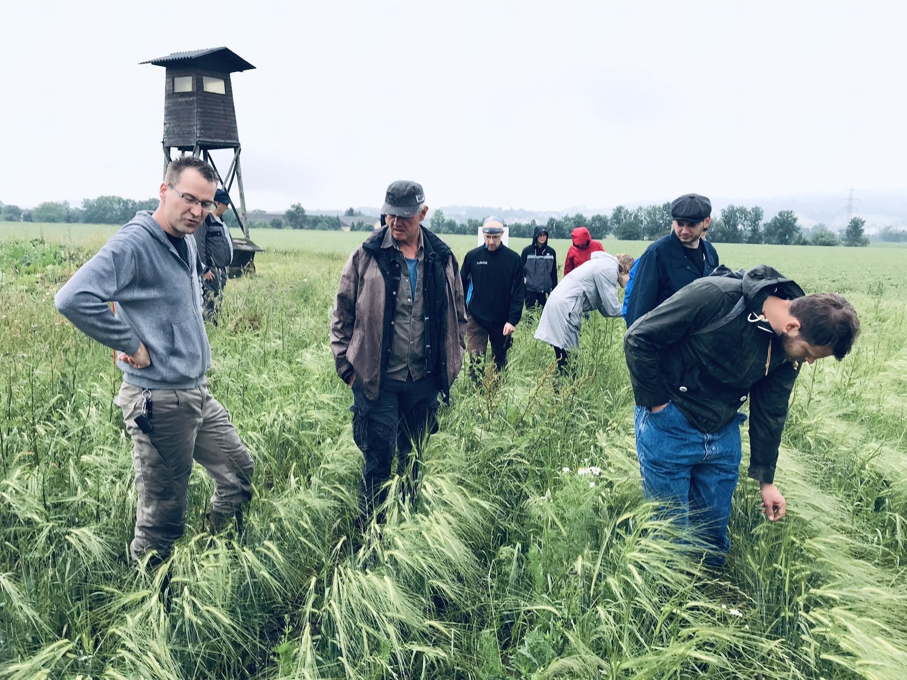 Besichtigung BIO Braugerste mit Versuchslandwirt Stefan D. © BWSB