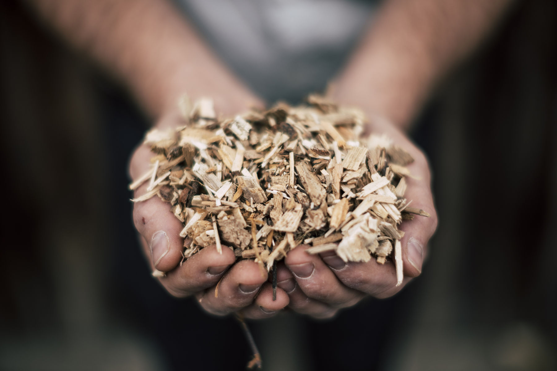 Hackschnitzel © Bernhard Bergmann