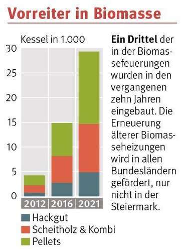 Grafik Vorreiter Biomasse.jpg