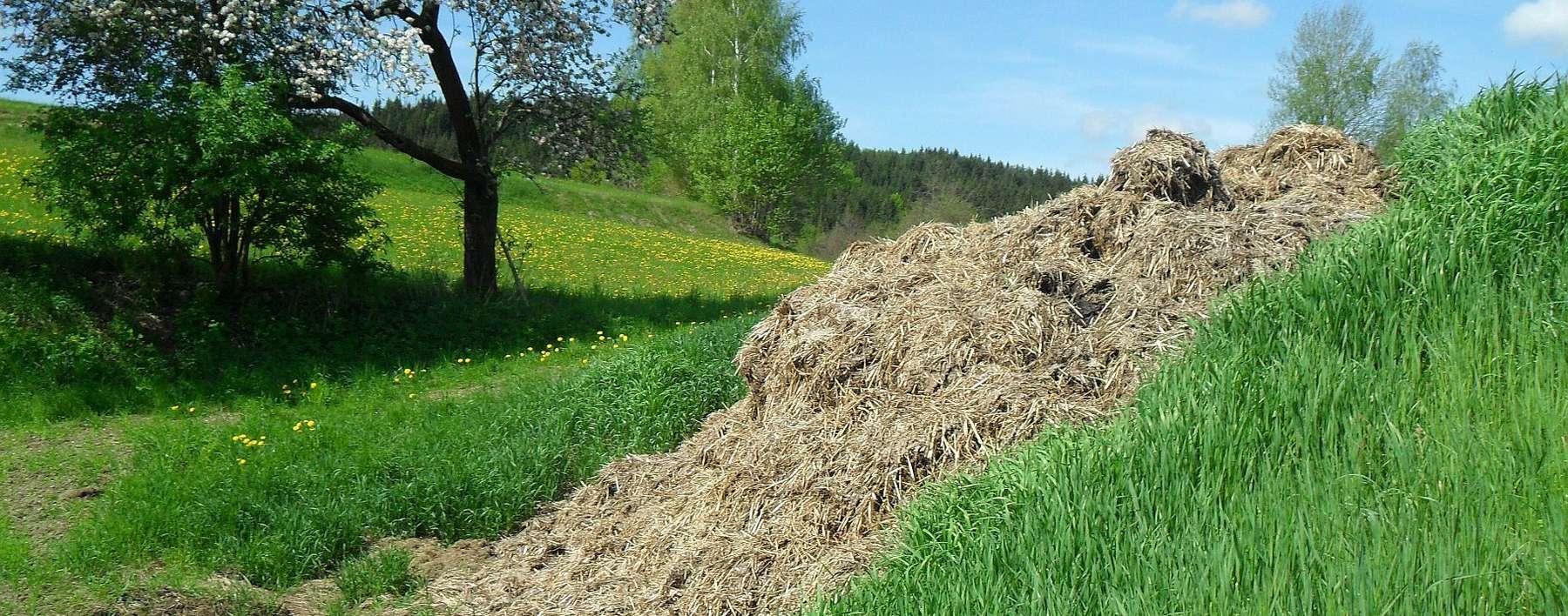 Feldmiete.jpg © BWSB/Hölzl Feldmiete.jpg © BWSB/Hölzl