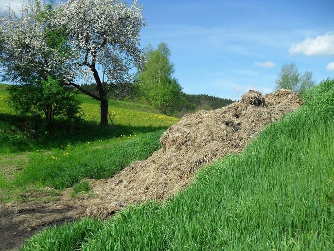 Feldmiete © BWSB/Hölzl