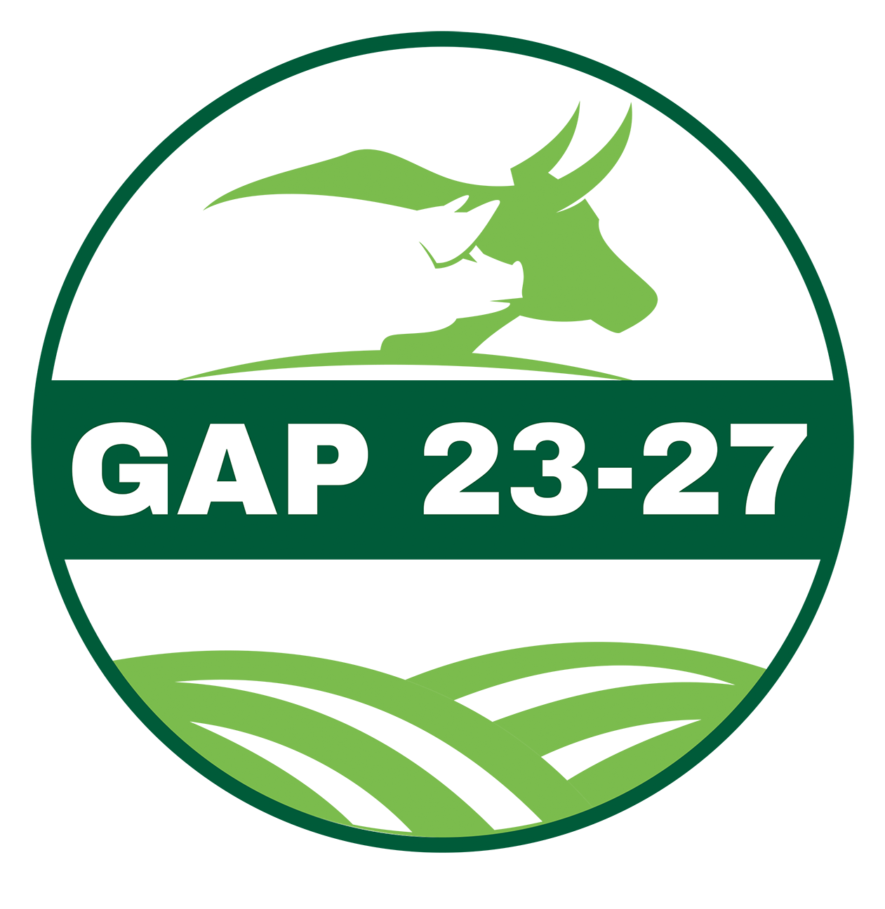 Logo-GAP-transparent.png