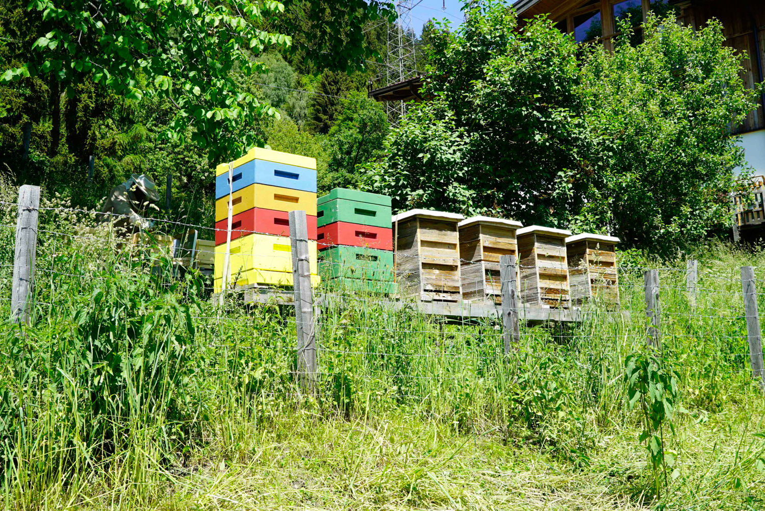 Das Gesamtpaket überzeugt – Hinterlaffergut in Goldegg.jpg © Kronreif Das Gesamtpaket überzeugt – Hinterlaffergut in Goldegg.jpg © Kronreif
