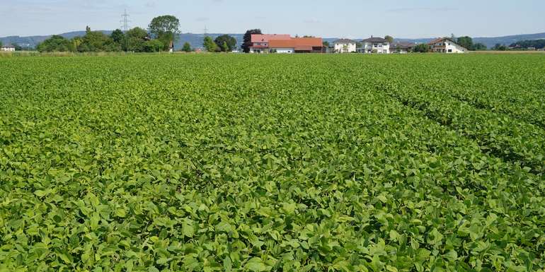 DSC00201.jpg © Landwirtschaftskammer Oberösterreich/Kastenhuber DSC00201.jpg © Landwirtschaftskammer Oberösterreich/Kastenhuber