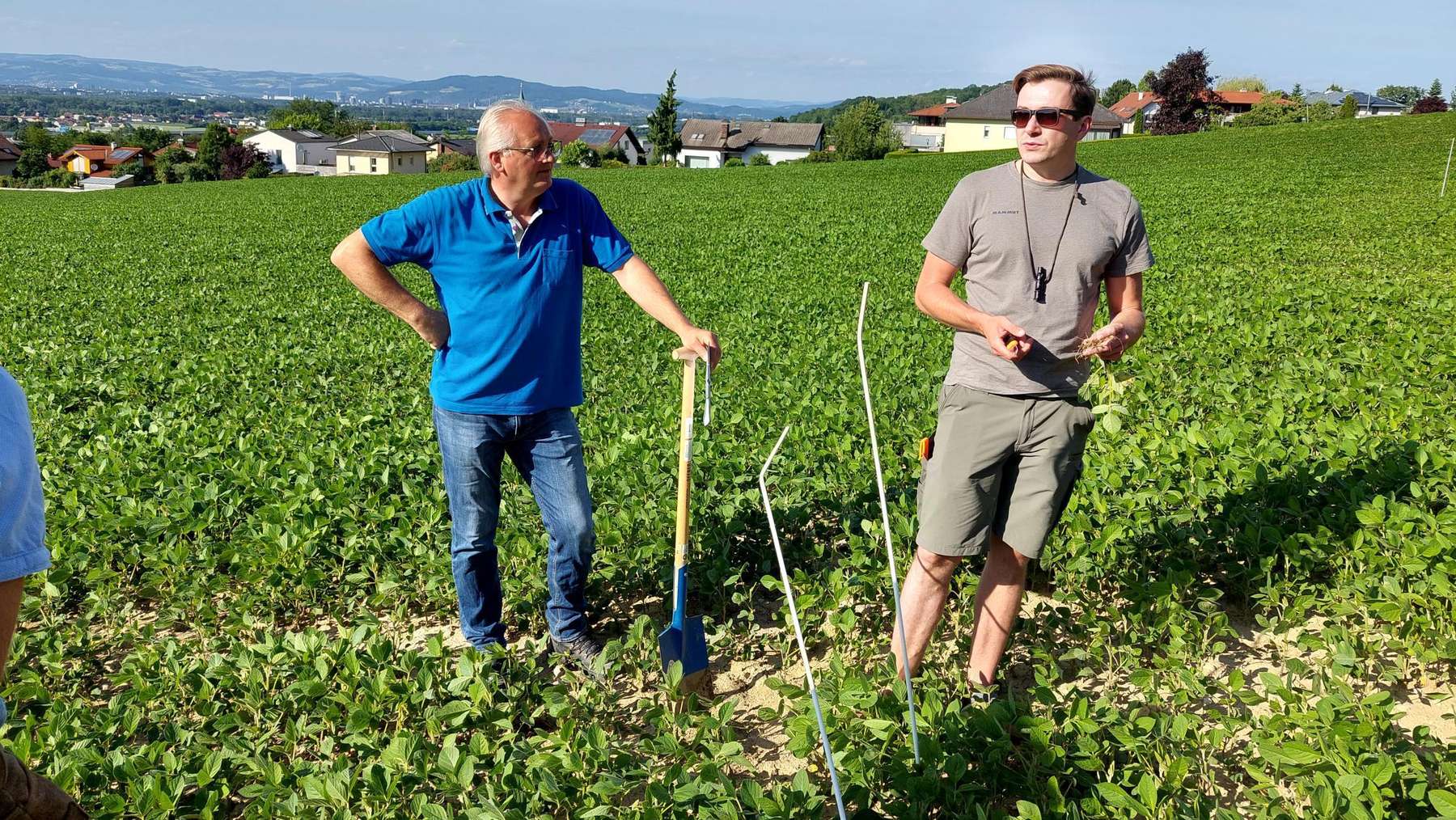 Bilder von der Feldbegehung mit unseren Wasserbauern und KR Norbert Ecker in Ansfelden, 14. Juni 2022