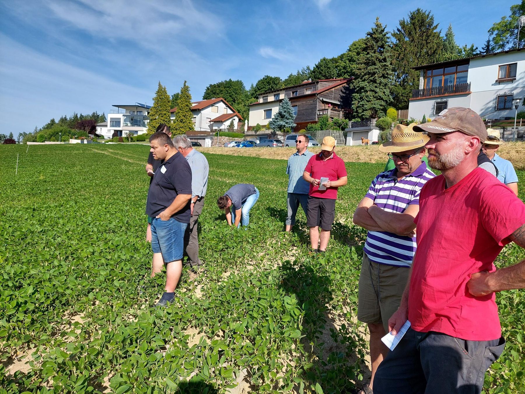 Spannende Feldbegehung mit unseren Wasserbauern gemeinsam mit Norbert Ecker beim Sojaversuch am Betrieb von Gregor Lehner in Ansfelden. Viel wurde diskutiert & viele Erfahrungen wurden ausgetauscht.
Mehr zum Sojaversuch gibt es unter: https://ooe.lko.at/herbizideinsatz-in-soja+2400+3648094 © BWSB/Wallner