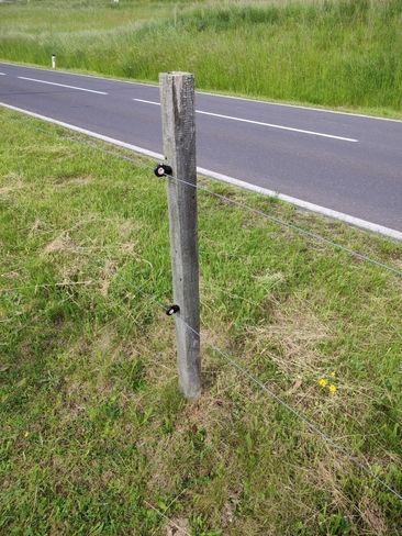 Bild 5 Zaun neben Straße.jpg Bild 5 Zaun neben Straße.jpg