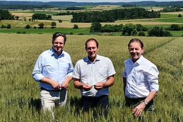 Ernte-PK 2022 Schmuckenschlager, Moosbrugger, Berlakovich im Weizenfeld © C Jung-Leithner/LKÖ