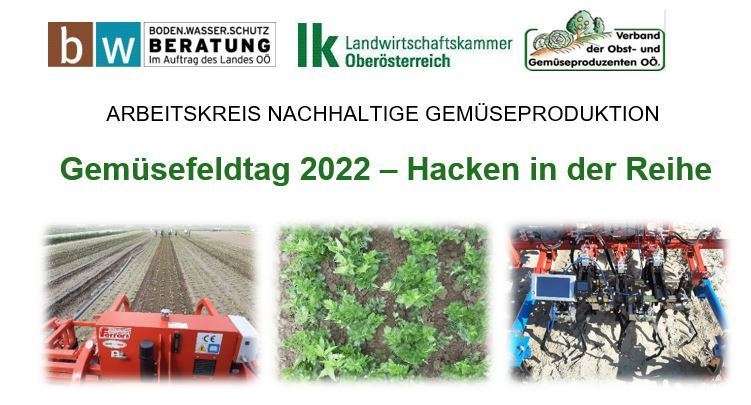 Gemüsefeldtag 2022.jpg