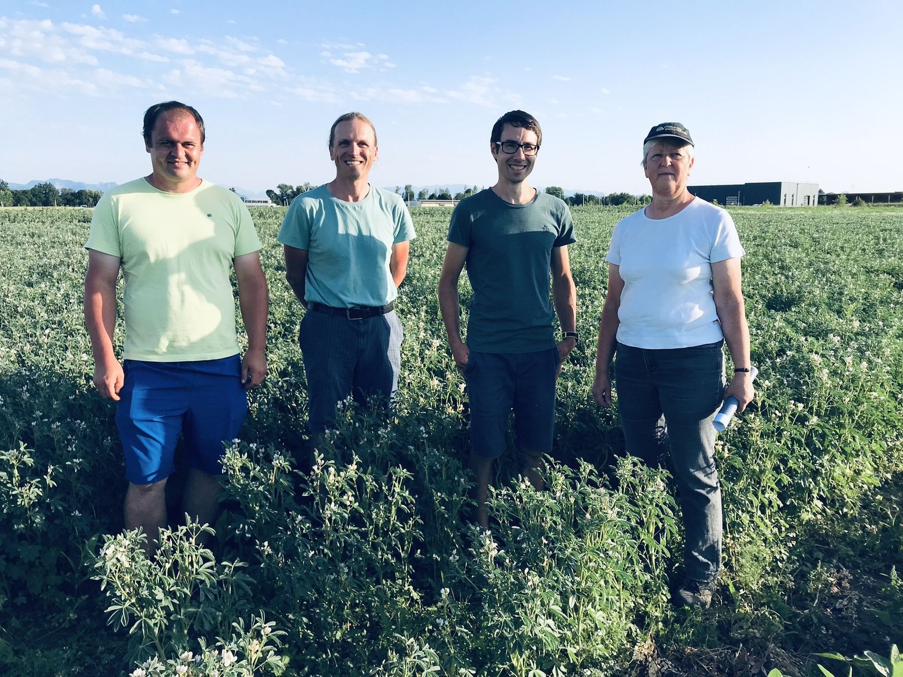 Bilder vom BIO Ackerbau Feldtag am  Bio Institut in Lambach, 21. Juni 2022