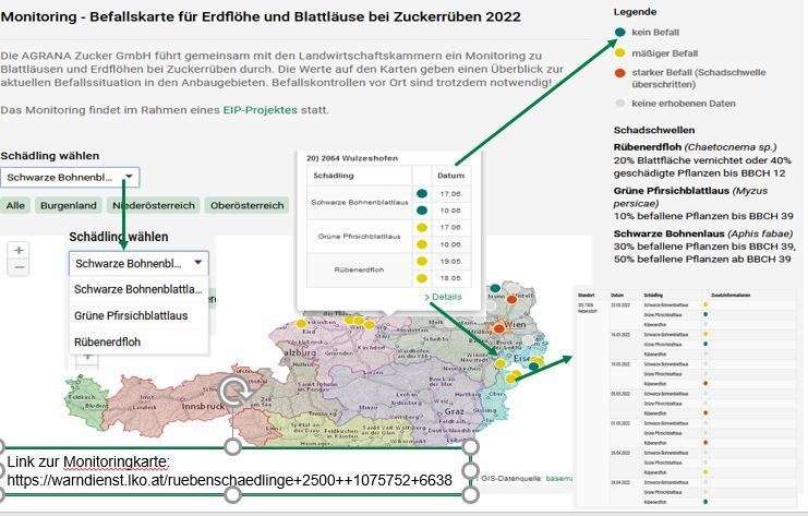 Ausschnitt aus der Monitoringkarte Schädling 2022 © www.warndienst.at Ausschnitt aus der Monitoringkarte Schädling 2022 © www.warndienst.at