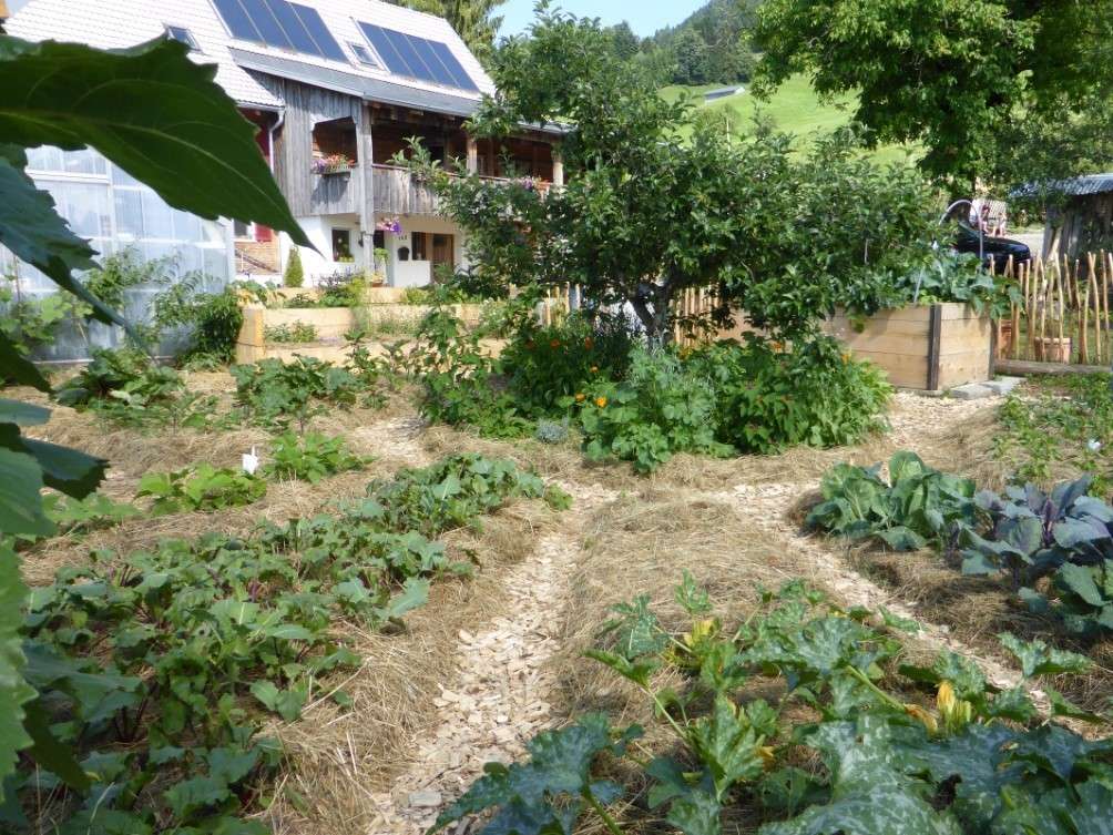 Garten Eden, Leo Simma, Hittisau 5 (Mittel).jpg © OGV Vorarlberg Garten Eden, Leo Simma, Hittisau 5 (Mittel).jpg © OGV Vorarlberg