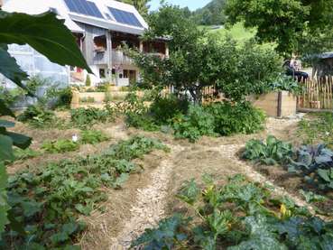 Garten Eden, Leo Simma, Hittisau 5 (Mittel).jpg © OGV Vorarlberg