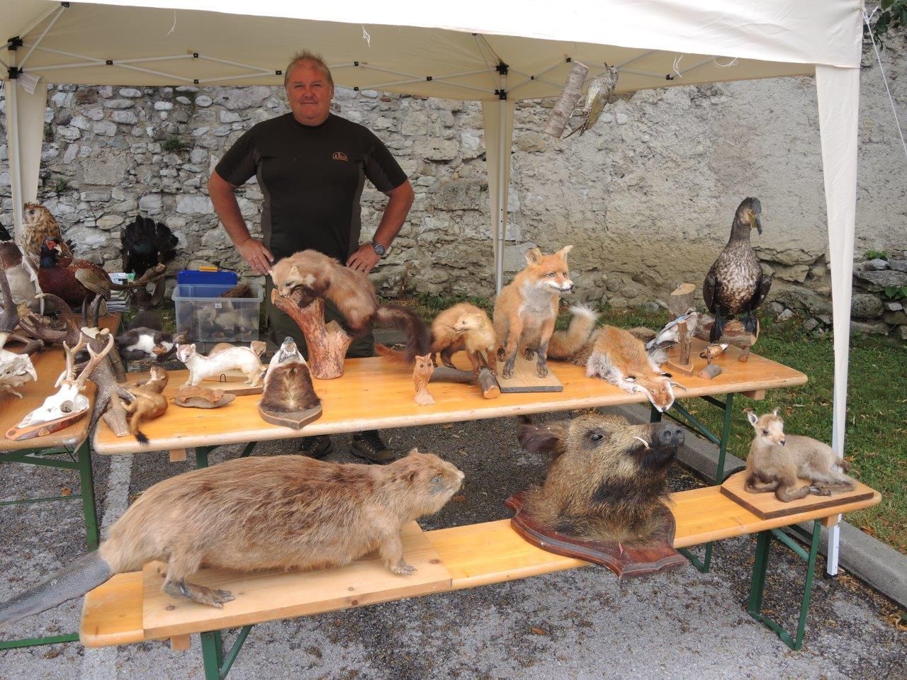 DSCN3017.jpg © BBK Scheibbs DSCN3017.jpg © BBK Scheibbs