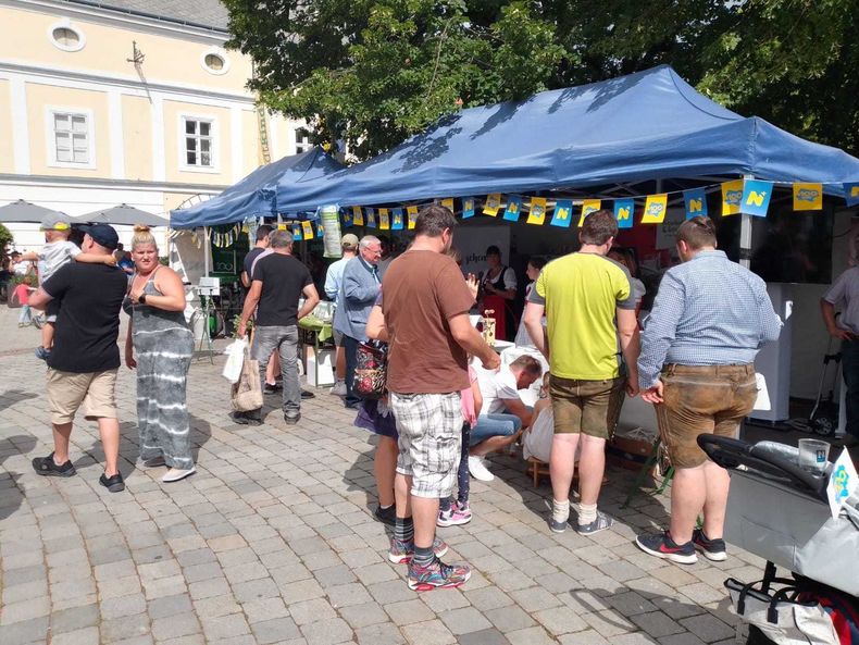 IMG-20220627-WA0026.jpg IMG-20220627-WA0026.jpg