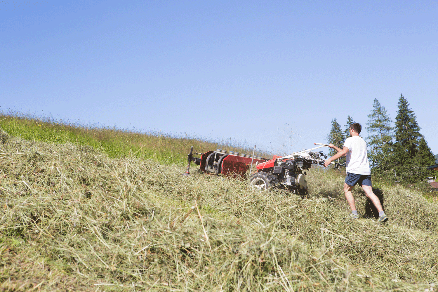 Bergmahd © Michaela Kölle Bergmahd © Michaela Kölle