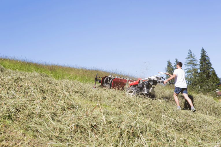 Bergmahd © Michaela Kölle Bergmahd © Michaela Kölle