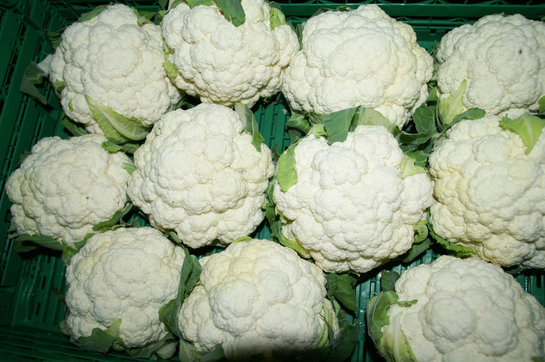 3222_blumenkohl_lid.jpg © lid 3222_blumenkohl_lid.jpg © lid