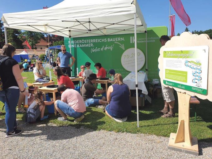 Beim Familienfest auf der Schallaburg besuchten zahlreiche Familien die verschiedenen Erlebnisstände der Landwirtschaftskammer. Die Kinder konnten dort das Melken ausprobieren und ihre eigene Butter schütteln.