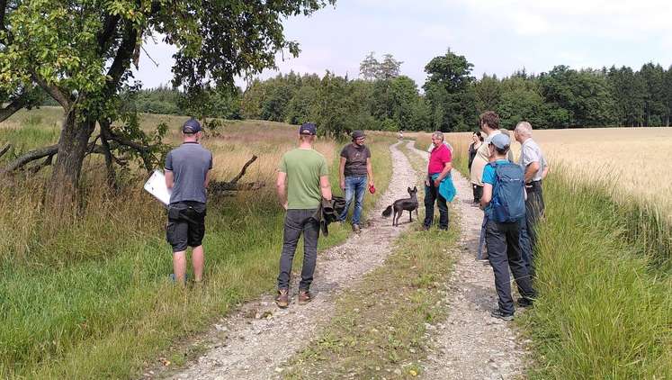 Bauernhofspaziergang - Was Nützlingsstreifen im  Getreidebau bringen am Hof von Nikolaus Stiebitzhofer, 1. Juli 2022