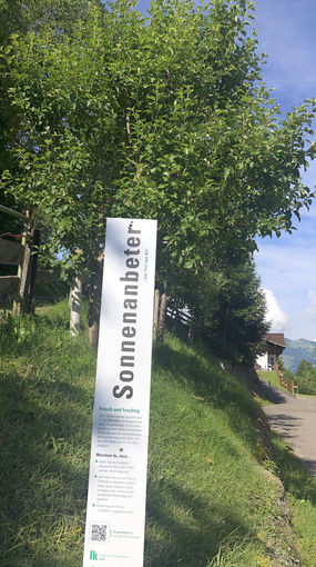 Fotos vom Projekt Lockpfosten © Schipflinger