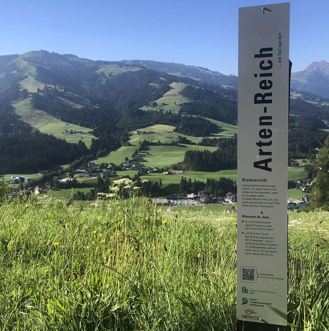 Fotos vom Projekt Lockpfosten © Schipflinger Fotos vom Projekt Lockpfosten © Schipflinger