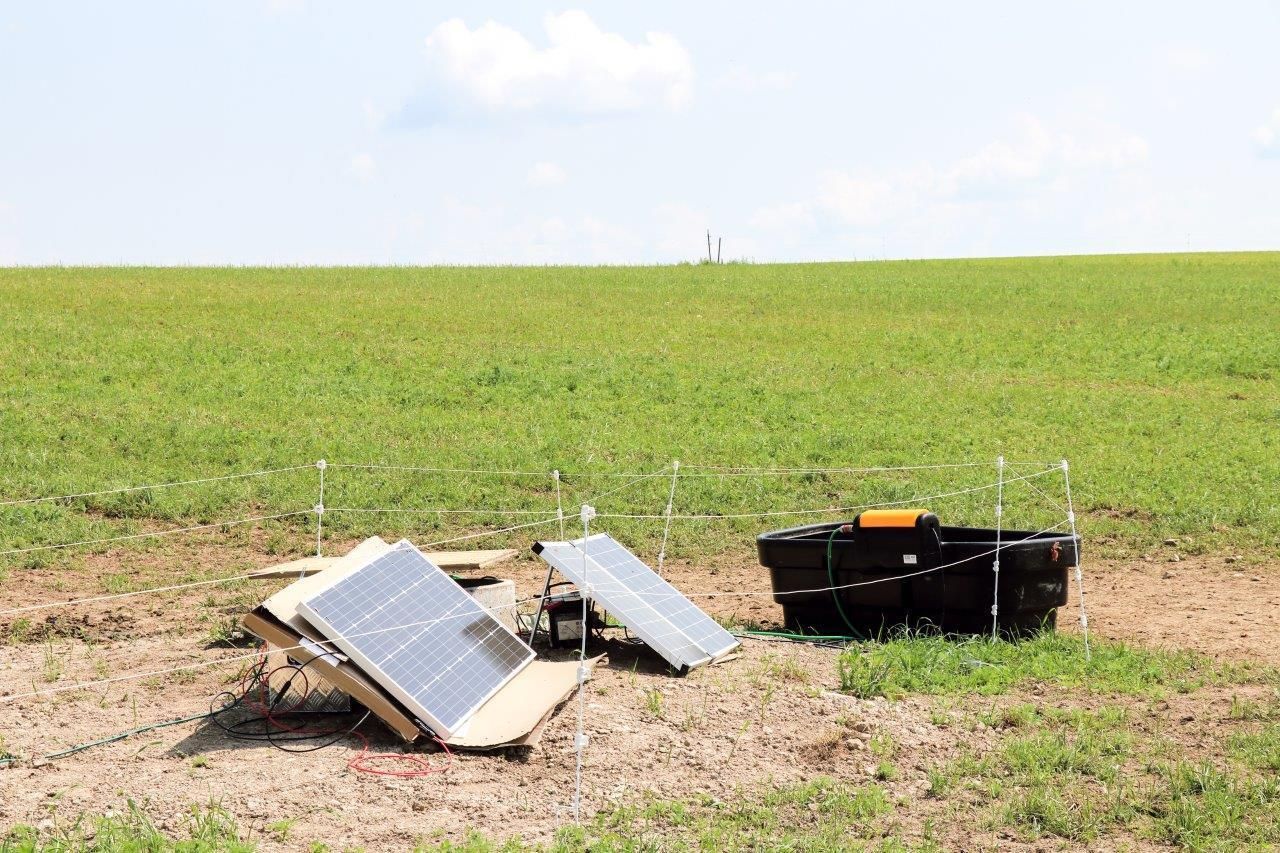 Die Photovoltaikmodule liefern Strom für den Zaun und die Wasserpumpe für die Schwimmertränke. Die untere Litze des Zaunes ist etwa 40 Zentimeter vom Boden entfernt, die zweite 25 Zentimeter oberhalb der unteren. © Paula Pöchlauer-Kozel/LK Niederösterreich