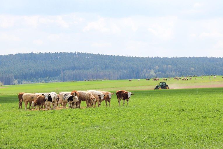 © Paula Pöchlauer-Kozel/LK Niederösterreich