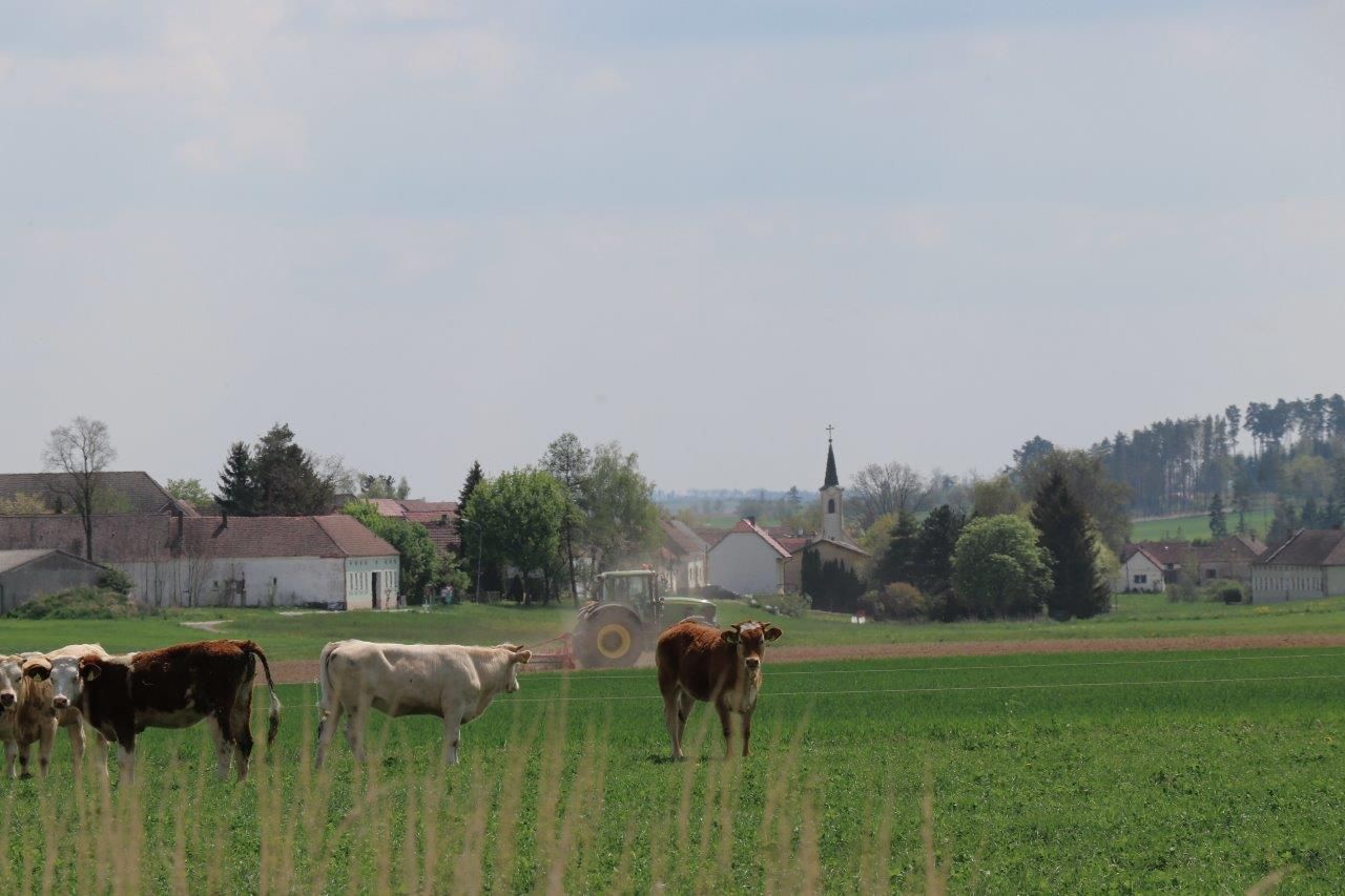 © Paula Pöchlauer-Kozel/LK Niederösterreich © Paula Pöchlauer-Kozel/LK Niederösterreich