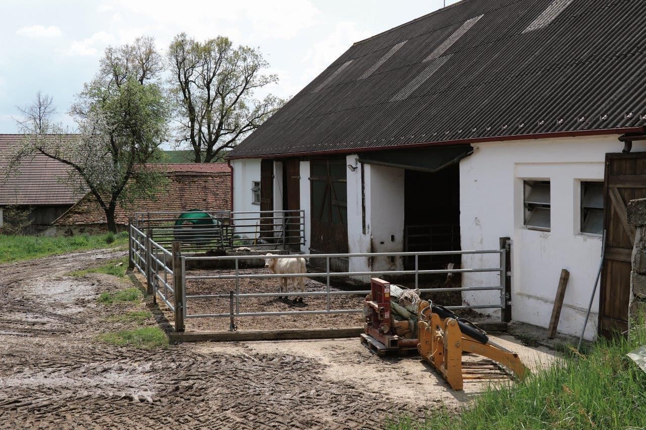 © Paula Pöchlauer-Kozel/LK Niederösterreich © Paula Pöchlauer-Kozel/LK Niederösterreich