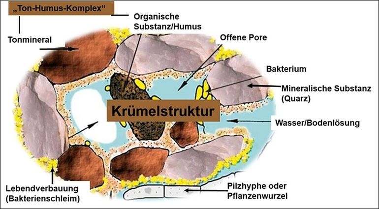 schematische Darstellung einer Krümelstruktur.jpg © https://www.bmel.de/DE/themen/landwirtschaft/pflanzenbau/bodenschutz/humus-1-was-ist-das.html schematische Darstellung einer Krümelstruktur.jpg © https://www.bmel.de/DE/themen/landwirtschaft/pflanzenbau/bodenschutz/humus-1-was-ist-das.html