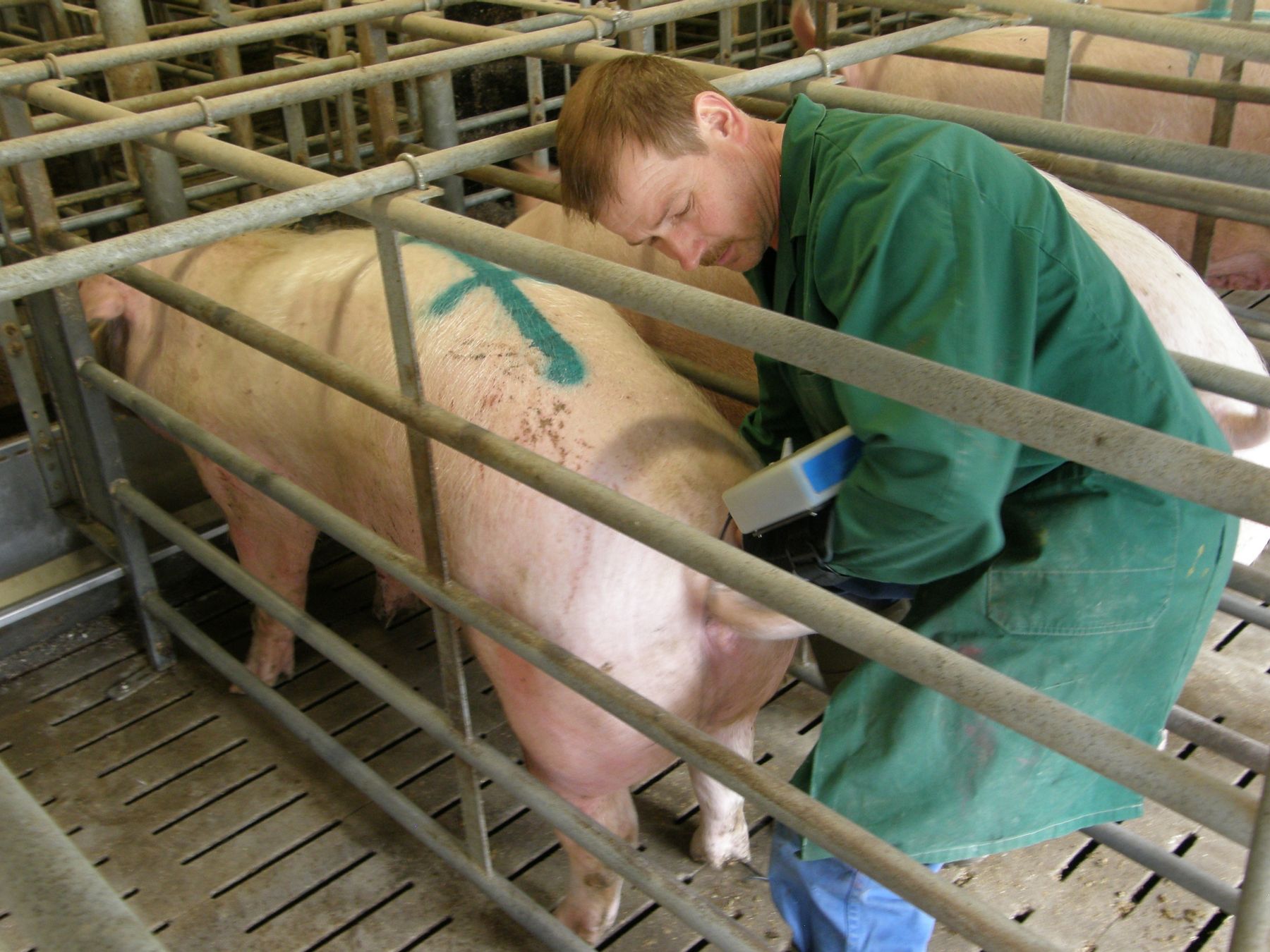 Rohrer Ultraschall.jpg © Mak Rohrer Ultraschall.jpg © Mak