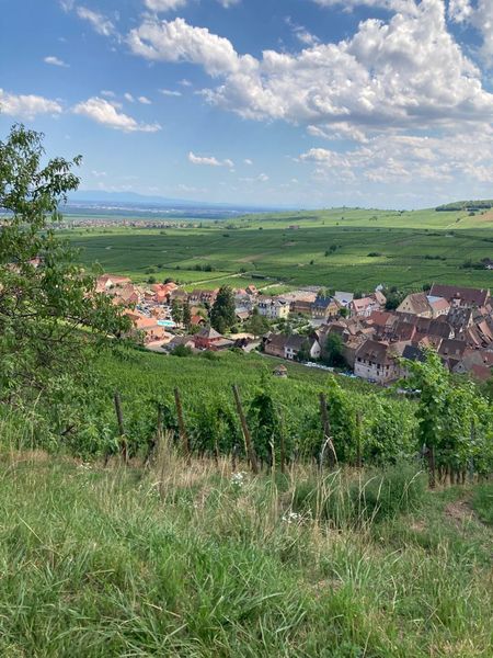 IMG-20220708-WA0005.jpg IMG-20220708-WA0005.jpg