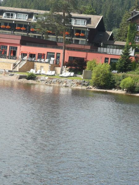 IMG-20220709-WA0004.jpg IMG-20220709-WA0004.jpg